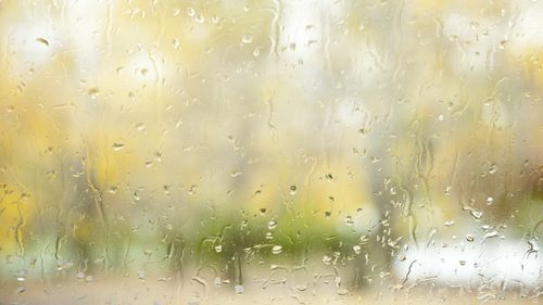 雨滴桌面皮肤包(雨滴桌面皮肤重启就消失了)