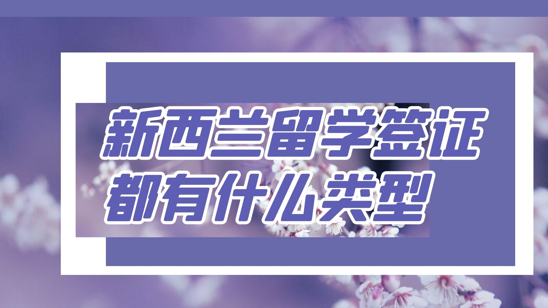 新西兰留学签证都有什么类型