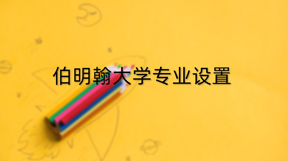 伯明翰大学专业设置