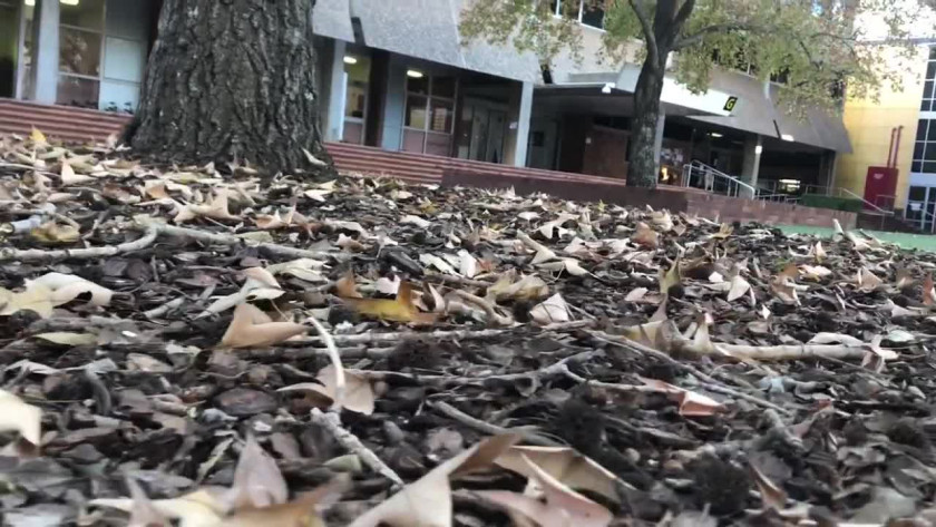 昆士兰科技大学本科留学2