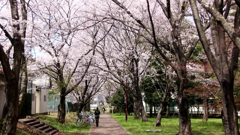 筑波大学学院设置